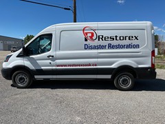 Restorex 4